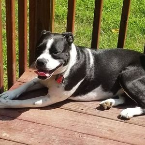 Meet your Posher, Sheryl